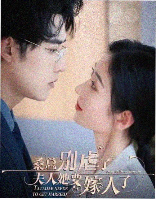 十七楼的春天 治愈生活剧在线观看